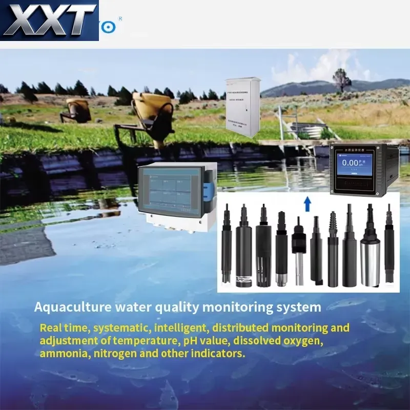 XXT Digital Water Quality Test - Ph Meter Digital Water Tester review and price