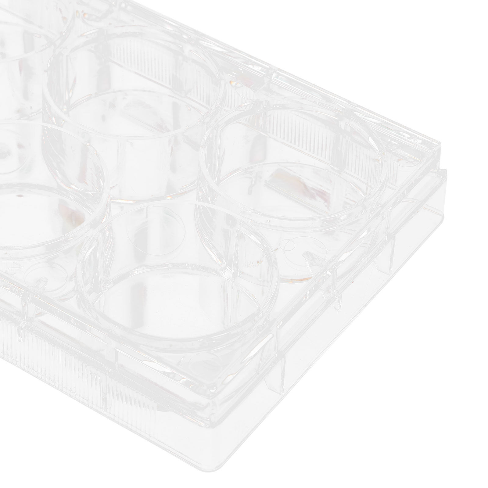 Tissue Culture Plate 6 Wells S - Lab Equipment review and price
